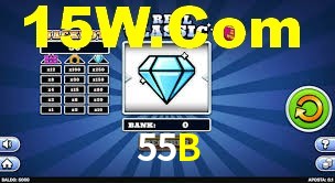 55B App Interface
