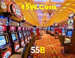 Flash Promotion 55B